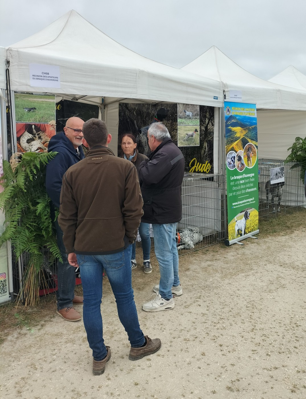 mai et juin 2026, des sorties, des manifestations canines